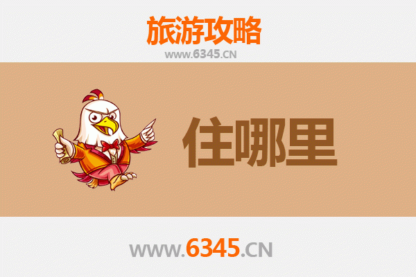邢台宁晋旅游民宿全攻略：古韵新风，沉浸式体验之旅